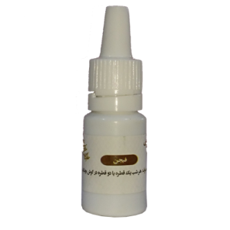 فیجن