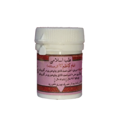 امام کاظم (ع) زمستانه